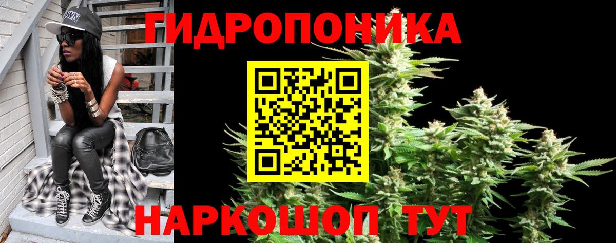 Бошки марихуана AK-47  Вход с VPN  Бердск  Бошки марихуана индика  Бошки Шишки VHQ 